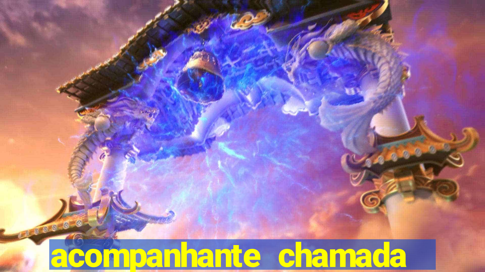 acompanhante chamada de video